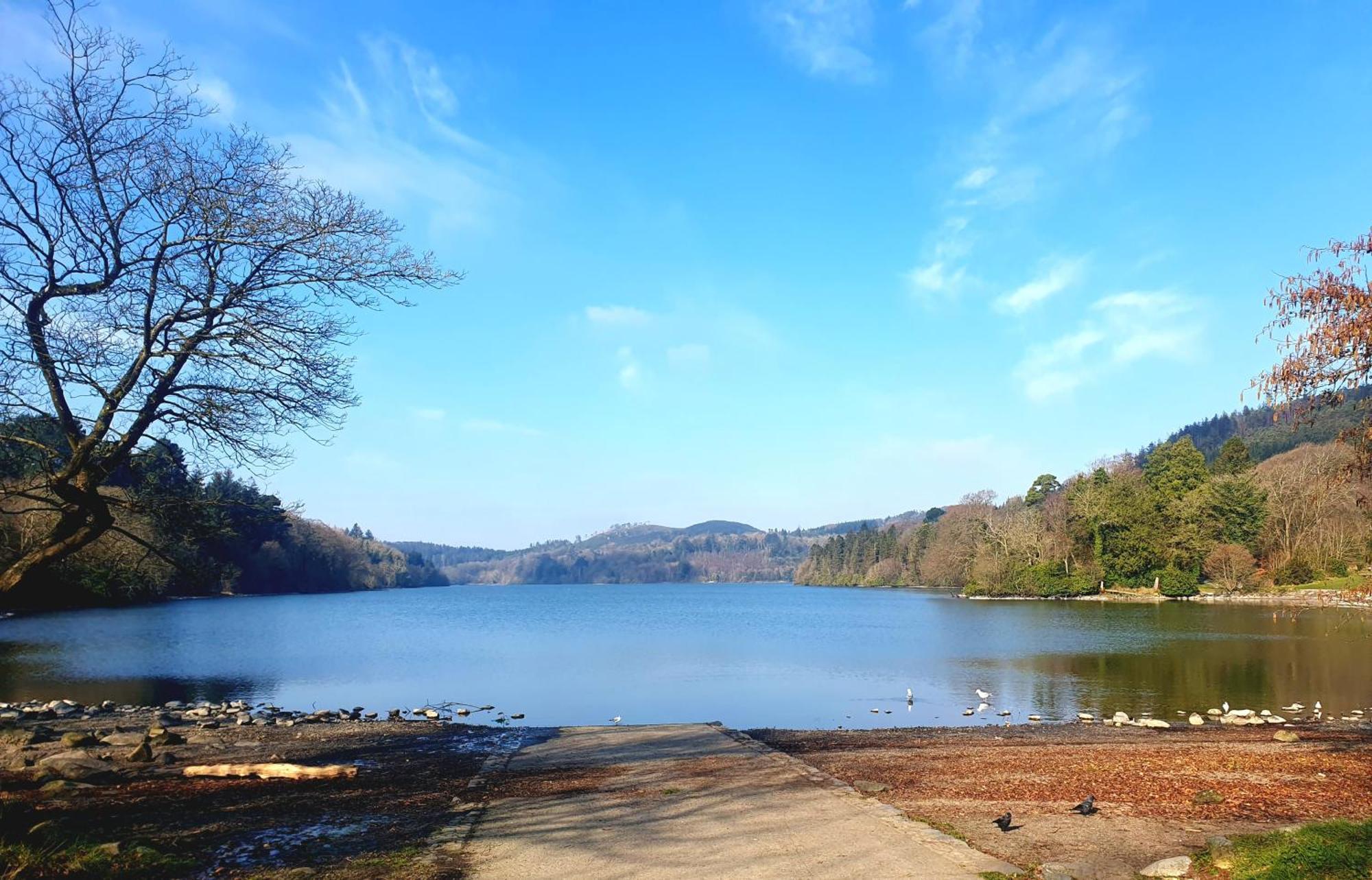 Whitehill Cottage Castlewellan Ngoại thất bức ảnh