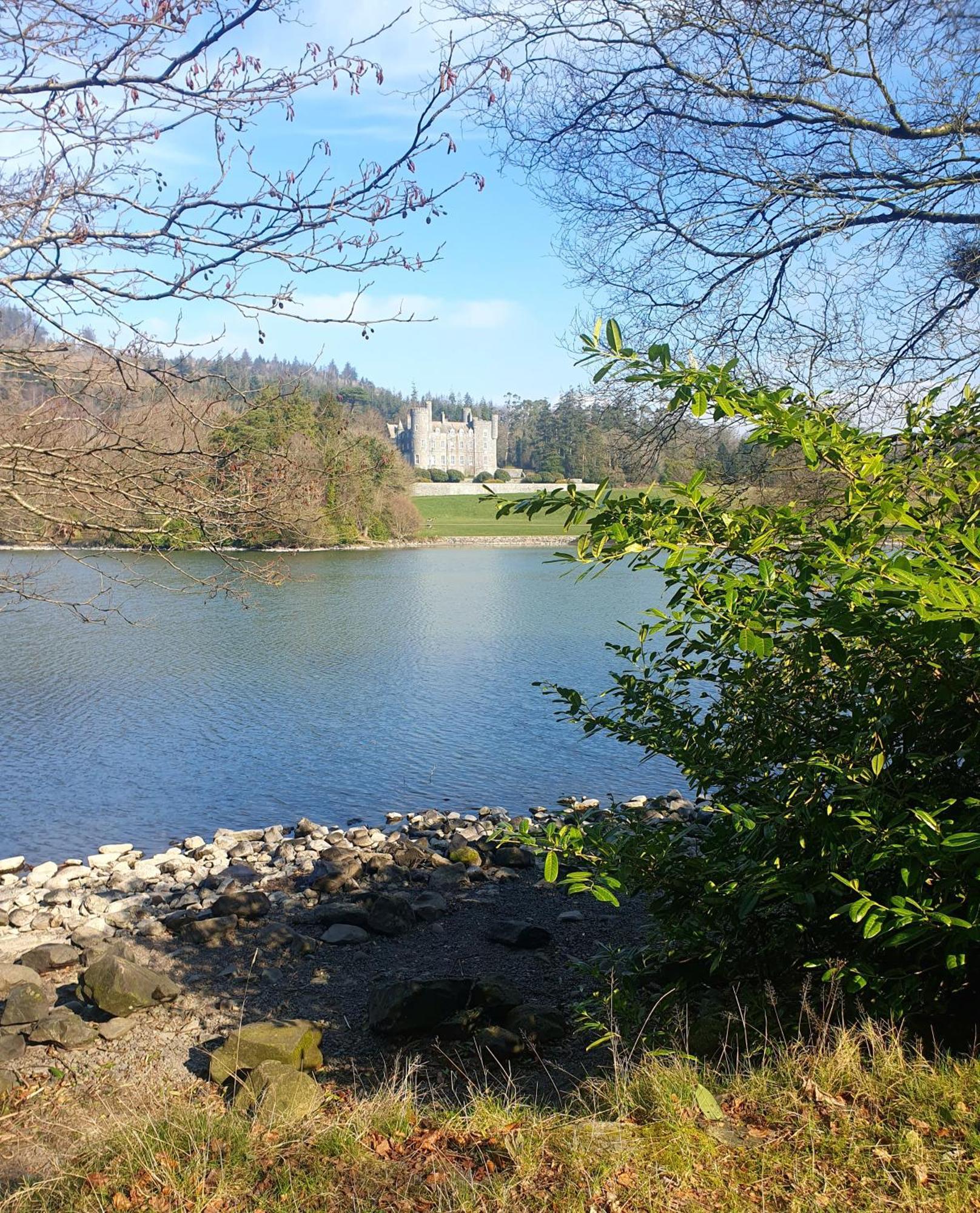 Whitehill Cottage Castlewellan Ngoại thất bức ảnh